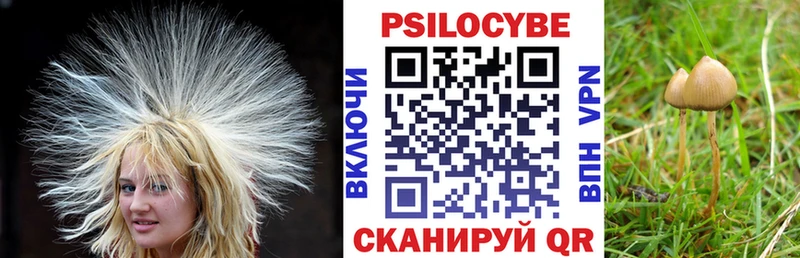 Галлюциногенные грибы Psilocybine cubensis купить наркотик Борисоглебск